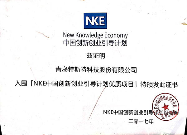 NKE中國創新創業引導計劃項目