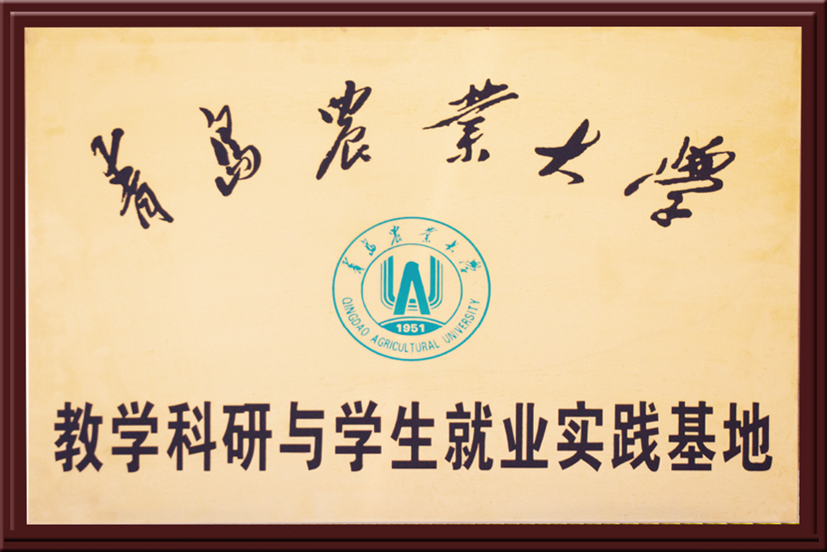 青島農業大學就業實踐基地