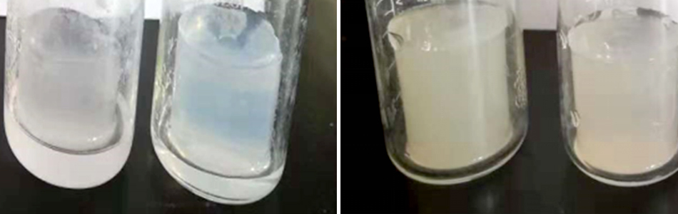 特斯特注射卡拉膠技術重大創新 特斯特注射卡拉膠技術重大創新