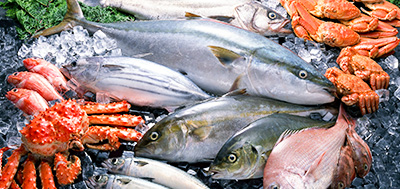 魚、蝦等海產品