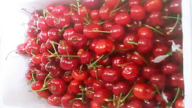 特斯特果涼粉 特斯特果涼粉