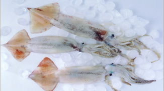 魷魚保水劑用于烤魷魚的制作