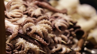 帶皮魷魚(yú)復(fù)配水分保持劑S107產(chǎn)品簡(jiǎn)介