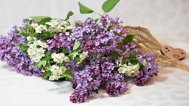 青島特斯特祝你七夕節(jié)快樂