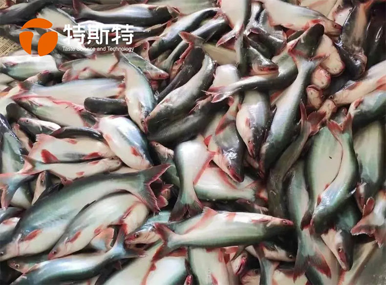 特斯特商學院 特斯特商學院