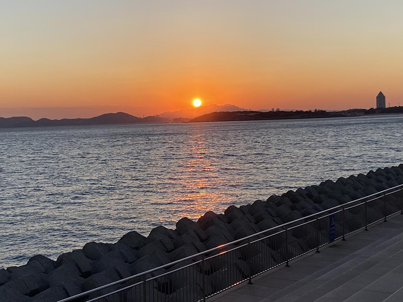 青島特斯特 青島特斯特