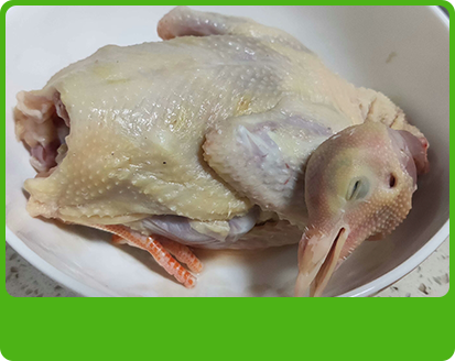 產品特性4 產品特性4