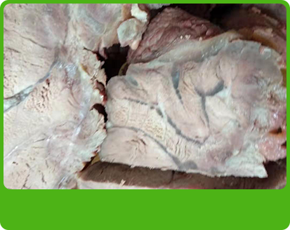 產(chǎn)品特性3 產(chǎn)品特性3