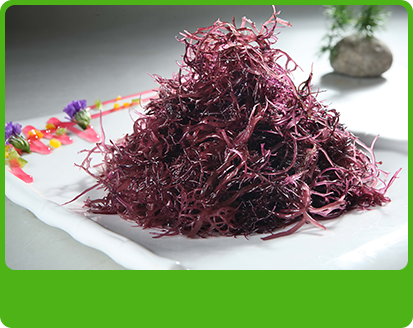 產品特性1 產品特性1